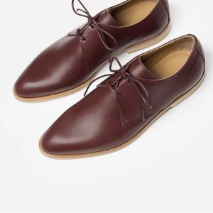 Everlane modern oxfords burgundy leather